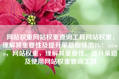 网站权重网站权重查询工具网站权重，理解其重要性及提升策略蜘蛛池TG：zzcseo，网站权重，理解其重要性、提升策略及使用网站权重查询工具