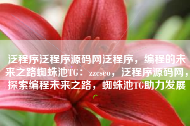 泛程序泛程序源码网泛程序，编程的未来之路蜘蛛池TG：zzcseo，泛程序源码网，探索编程未来之路，蜘蛛池TG助力发展