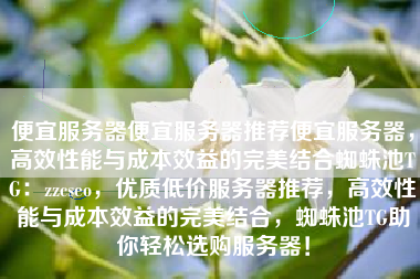 便宜服务器便宜服务器推荐便宜服务器，高效性能与成本效益的完美结合蜘蛛池TG：zzcseo，优质低价服务器推荐，高效性能与成本效益的完美结合，蜘蛛池TG助你轻松选购服务器！