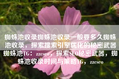 蜘蛛池收录蜘蛛池收录一般要多久蜘蛛池收录，探索搜索引擎优化的秘密武器蜘蛛池TG：zzcseo，探索SEO秘密武器，蜘蛛池收录时间与策略TG，zzcseo