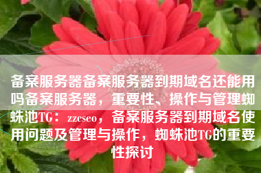 备案服务器备案服务器到期域名还能用吗备案服务器，重要性、操作与管理蜘蛛池TG：zzcseo，备案服务器到期域名使用问题及管理与操作，蜘蛛池TG的重要性探讨