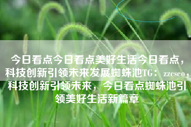 今日看点今日看点美好生活今日看点，科技创新引领未来发展蜘蛛池TG：zzcseo，科技创新引领未来，今日看点蜘蛛池引领美好生活新篇章