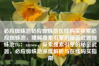 必应蜘蛛池必应蜘蛛池在线购买探索必应蜘蛛池，理解搜索引擎的秘密武器蜘蛛池TG：zzcseo，探索搜索引擎的秘密武器，必应蜘蛛池深度解析与在线购买指南