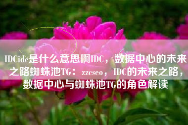 IDCidc是什么意思啊IDC，数据中心的未来之路蜘蛛池TG：zzcseo，IDC的未来之路，数据中心与蜘蛛池TG的角色解读