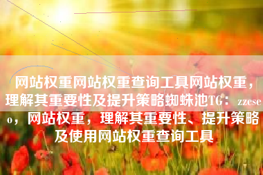 网站权重网站权重查询工具网站权重，理解其重要性及提升策略蜘蛛池TG：zzcseo，网站权重，理解其重要性、提升策略及使用网站权重查询工具