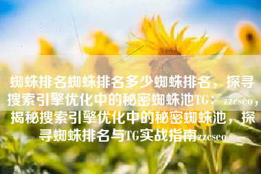 蜘蛛排名蜘蛛排名多少蜘蛛排名，探寻搜索引擎优化中的秘密蜘蛛池TG：zzcseo，揭秘搜索引擎优化中的秘密蜘蛛池，探寻蜘蛛排名与TG实战指南zzcseo