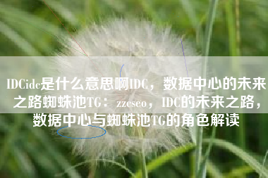 IDCidc是什么意思啊IDC，数据中心的未来之路蜘蛛池TG：zzcseo，IDC的未来之路，数据中心与蜘蛛池TG的角色解读