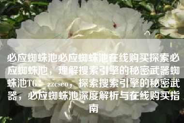 必应蜘蛛池必应蜘蛛池在线购买探索必应蜘蛛池，理解搜索引擎的秘密武器蜘蛛池TG：zzcseo，探索搜索引擎的秘密武器，必应蜘蛛池深度解析与在线购买指南