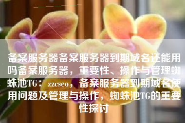 备案服务器备案服务器到期域名还能用吗备案服务器，重要性、操作与管理蜘蛛池TG：zzcseo，备案服务器到期域名使用问题及管理与操作，蜘蛛池TG的重要性探讨