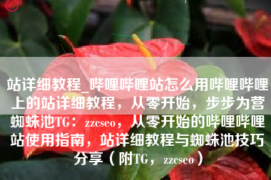 站详细教程_哔哩哔哩站怎么用哔哩哔哩上的站详细教程，从零开始，步步为营蜘蛛池TG：zzcseo，从零开始的哔哩哔哩站使用指南，站详细教程与蜘蛛池技巧分享（附TG，zzcseo）