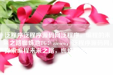 泛程序泛程序源码网泛程序，编程的未来之路蜘蛛池TG：zzcseo，泛程序源码网，探索编程未来之路，蜘蛛池TG助力发展