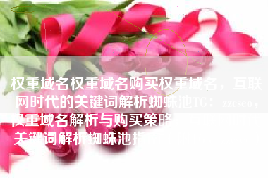 权重域名权重域名购买权重域名，互联网时代的关键词解析蜘蛛池TG：zzcseo，权重域名解析与购买策略，互联网时代关键词解析蜘蛛池指南（附TG，zzcseo）