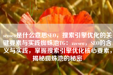 seoseo是什么意思SEO，搜索引擎优化的关键要素与实践蜘蛛池TG：zzcseo，SEO的含义与实践，掌握搜索引擎优化核心要素，揭秘蜘蛛池的秘密