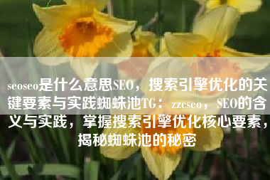 seoseo是什么意思SEO，搜索引擎优化的关键要素与实践蜘蛛池TG：zzcseo，SEO的含义与实践，掌握搜索引擎优化核心要素，揭秘蜘蛛池的秘密