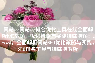 网站seo网站seo排名优化工具在线全面解析网站SEO，优化策略与实践蜘蛛池TG：zzcseo，全面解析网站SEO优化策略与实践，SEO排名工具与蜘蛛池解析
