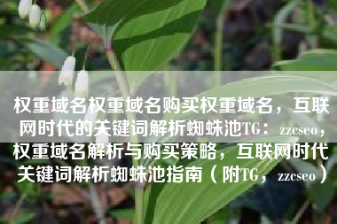 权重域名权重域名购买权重域名，互联网时代的关键词解析蜘蛛池TG：zzcseo，权重域名解析与购买策略，互联网时代关键词解析蜘蛛池指南（附TG，zzcseo）