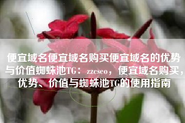 便宜域名便宜域名购买便宜域名的优势与价值蜘蛛池TG：zzcseo，便宜域名购买，优势、价值与蜘蛛池TG的使用指南
