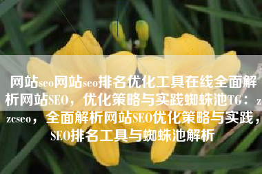 网站seo网站seo排名优化工具在线全面解析网站SEO，优化策略与实践蜘蛛池TG：zzcseo，全面解析网站SEO优化策略与实践，SEO排名工具与蜘蛛池解析