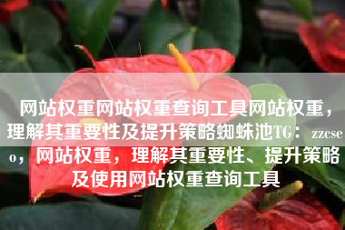 网站权重网站权重查询工具网站权重，理解其重要性及提升策略蜘蛛池TG：zzcseo，网站权重，理解其重要性、提升策略及使用网站权重查询工具