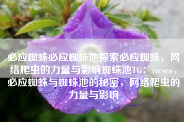 必应蜘蛛必应蜘蛛池探索必应蜘蛛，网络爬虫的力量与影响蜘蛛池TG：zzcseo，必应蜘蛛与蜘蛛池的秘密，网络爬虫的力量与影响