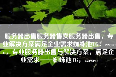 服务器出售服务器售卖服务器出售，专业解决方案满足企业需求蜘蛛池TG：zzcseo，专业服务器出售与解决方案，满足企业需求——蜘蛛池TG，zzcseo