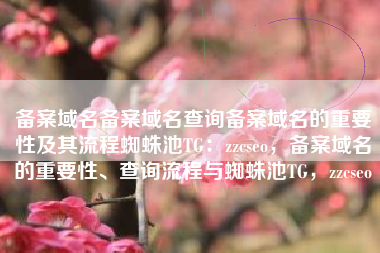 备案域名备案域名查询备案域名的重要性及其流程蜘蛛池TG：zzcseo，备案域名的重要性、查询流程与蜘蛛池TG，zzcseo