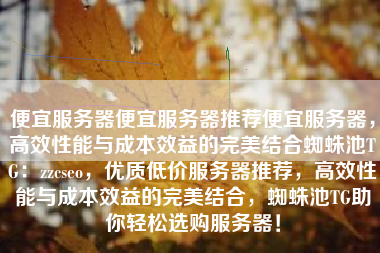 便宜服务器便宜服务器推荐便宜服务器，高效性能与成本效益的完美结合蜘蛛池TG：zzcseo，优质低价服务器推荐，高效性能与成本效益的完美结合，蜘蛛池TG助你轻松选购服务器！