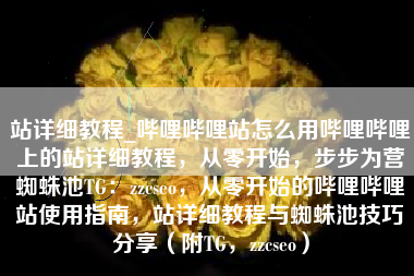 站详细教程_哔哩哔哩站怎么用哔哩哔哩上的站详细教程，从零开始，步步为营蜘蛛池TG：zzcseo，从零开始的哔哩哔哩站使用指南，站详细教程与蜘蛛池技巧分享（附TG，zzcseo）