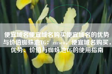 便宜域名便宜域名购买便宜域名的优势与价值蜘蛛池TG：zzcseo，便宜域名购买，优势、价值与蜘蛛池TG的使用指南