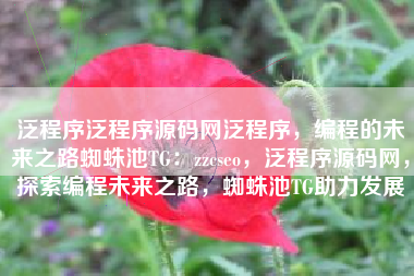 泛程序泛程序源码网泛程序，编程的未来之路蜘蛛池TG：zzcseo，泛程序源码网，探索编程未来之路，蜘蛛池TG助力发展
