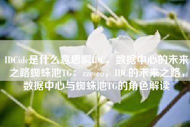 IDCidc是什么意思啊IDC，数据中心的未来之路蜘蛛池TG：zzcseo，IDC的未来之路，数据中心与蜘蛛池TG的角色解读
