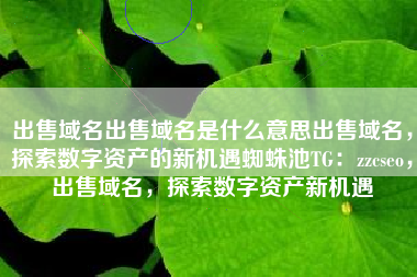 出售域名出售域名是什么意思出售域名，探索数字资产的新机遇蜘蛛池TG：zzcseo，出售域名，探索数字资产新机遇