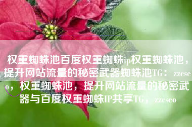 权重蜘蛛池百度权重蜘蛛ip权重蜘蛛池，提升网站流量的秘密武器蜘蛛池TG：zzcseo，权重蜘蛛池，提升网站流量的秘密武器与百度权重蜘蛛IP共享TG，zzcseo