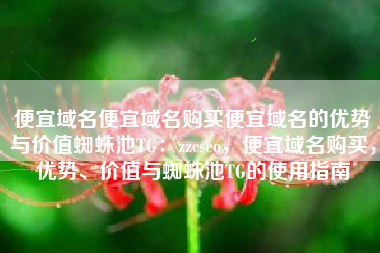 便宜域名便宜域名购买便宜域名的优势与价值蜘蛛池TG：zzcseo，便宜域名购买，优势、价值与蜘蛛池TG的使用指南