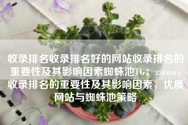 收录排名收录排名好的网站收录排名的重要性及其影响因素蜘蛛池TG：zzcseo，收录排名的重要性及其影响因素，优质网站与蜘蛛池策略