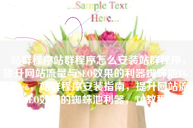 站群程序站群程序怎么安装站群程序，提升网站流量与SEO效果的利器蜘蛛池TG：zzcseo，站群程序安装指南，提升网站流量与SEO效果的蜘蛛池利器，TG教程分享。