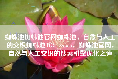 蜘蛛池蜘蛛池官网蜘蛛池，自然与人工的交织蜘蛛池TG：zzcseo，蜘蛛池官网，自然与人工交织的搜索引擎优化之道