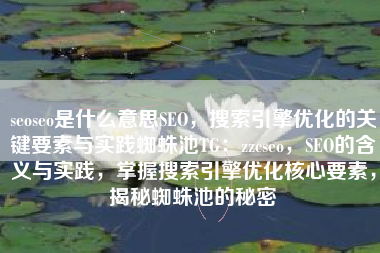 seoseo是什么意思SEO，搜索引擎优化的关键要素与实践蜘蛛池TG：zzcseo，SEO的含义与实践，掌握搜索引擎优化核心要素，揭秘蜘蛛池的秘密