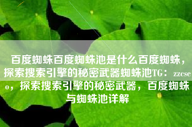 百度蜘蛛百度蜘蛛池是什么百度蜘蛛，探索搜索引擎的秘密武器蜘蛛池TG：zzcseo，探索搜索引擎的秘密武器，百度蜘蛛与蜘蛛池详解