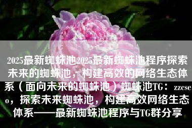 2025最新蜘蛛池2025最新蜘蛛池程序探索未来的蜘蛛池，构建高效的网络生态体系（面向未来的蜘蛛池）蜘蛛池TG：zzcseo，探索未来蜘蛛池，构建高效网络生态体系——最新蜘蛛池程序与TG群分享