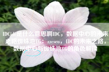 IDCidc是什么意思啊IDC，数据中心的未来之路蜘蛛池TG：zzcseo，IDC的未来之路，数据中心与蜘蛛池TG的角色解读
