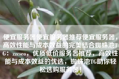 便宜服务器便宜服务器推荐便宜服务器，高效性能与成本效益的完美结合蜘蛛池TG：zzcseo，优质低价服务器推荐，高效性能与成本效益的优选，蜘蛛池TG助你轻松选购服务器！