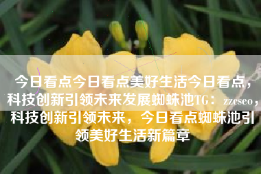 今日看点今日看点美好生活今日看点，科技创新引领未来发展蜘蛛池TG：zzcseo，科技创新引领未来，今日看点蜘蛛池引领美好生活新篇章