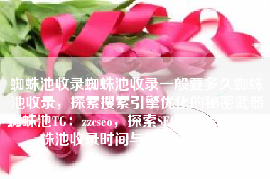 蜘蛛池收录蜘蛛池收录一般要多久蜘蛛池收录，探索搜索引擎优化的秘密武器蜘蛛池TG：zzcseo，探索SEO秘密武器，蜘蛛池收录时间与策略TG，zzcseo