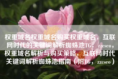 权重域名权重域名购买权重域名，互联网时代的关键词解析蜘蛛池TG：zzcseo，权重域名解析与购买策略，互联网时代关键词解析蜘蛛池指南（附TG，zzcseo）