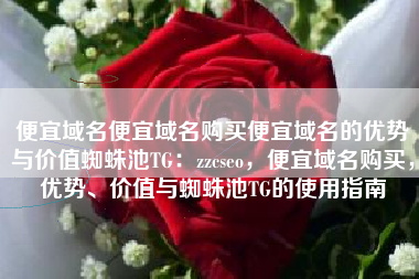 便宜域名便宜域名购买便宜域名的优势与价值蜘蛛池TG：zzcseo，便宜域名购买，优势、价值与蜘蛛池TG的使用指南