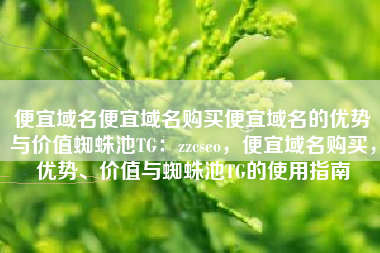 便宜域名便宜域名购买便宜域名的优势与价值蜘蛛池TG：zzcseo，便宜域名购买，优势、价值与蜘蛛池TG的使用指南