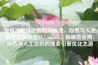 蜘蛛池蜘蛛池官网蜘蛛池，自然与人工的交织蜘蛛池TG：zzcseo，蜘蛛池官网，自然与人工交织的搜索引擎优化之道