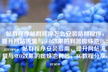 站群程序站群程序怎么安装站群程序，提升网站流量与SEO效果的利器蜘蛛池TG：zzcseo，站群程序安装指南，提升网站流量与SEO效果的蜘蛛池利器，TG教程分享zzcseo