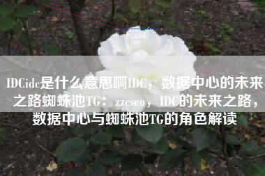 IDCidc是什么意思啊IDC，数据中心的未来之路蜘蛛池TG：zzcseo，IDC的未来之路，数据中心与蜘蛛池TG的角色解读